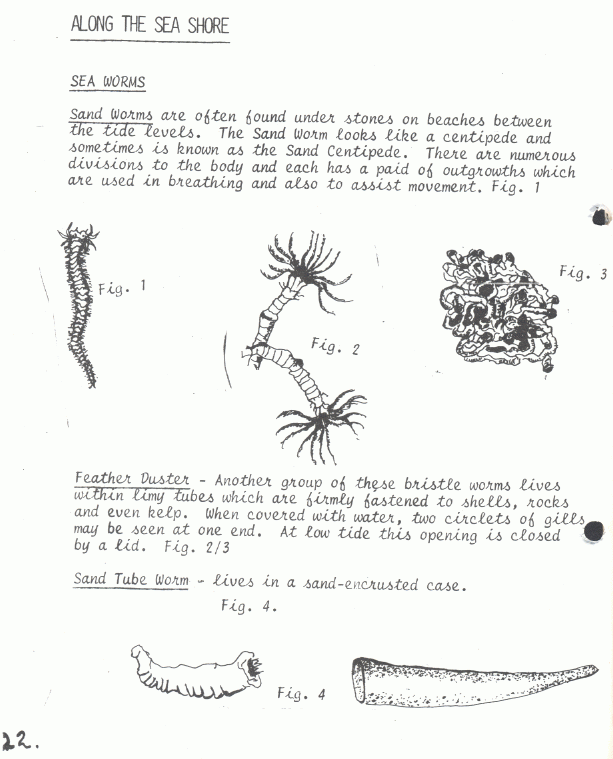 page scan