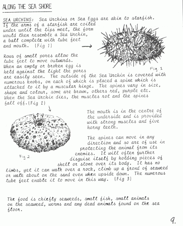page scan