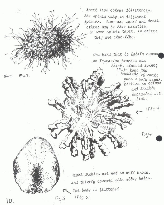 page scan