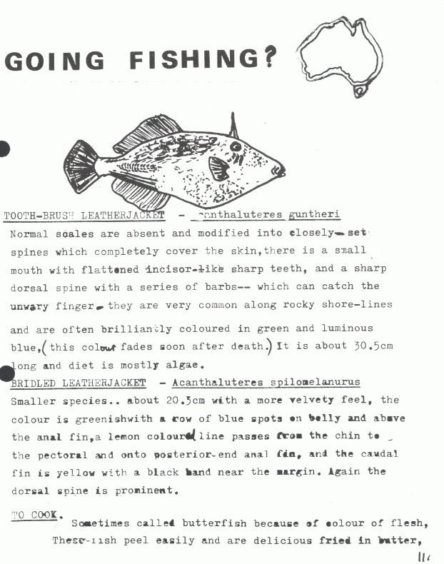 page scan