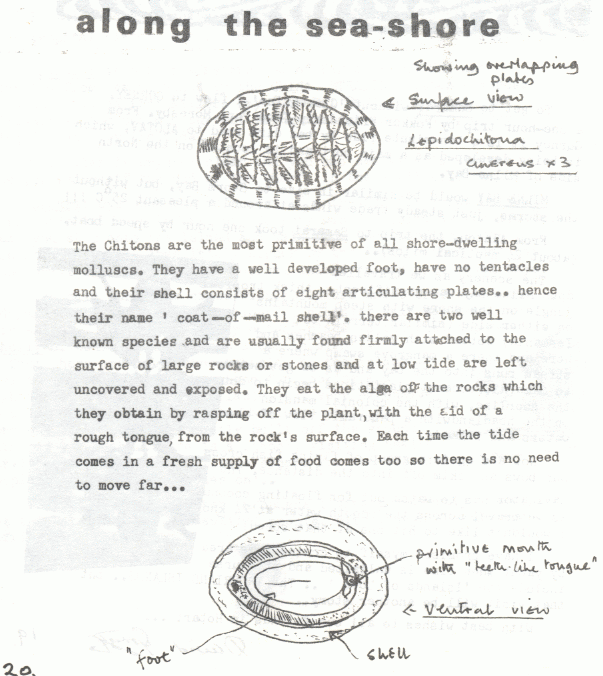 page scan
