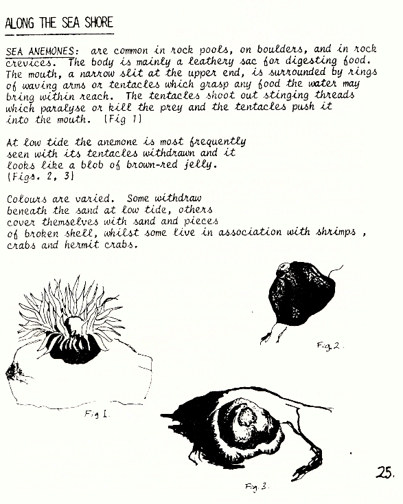 page scan