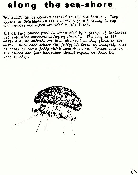 page scan