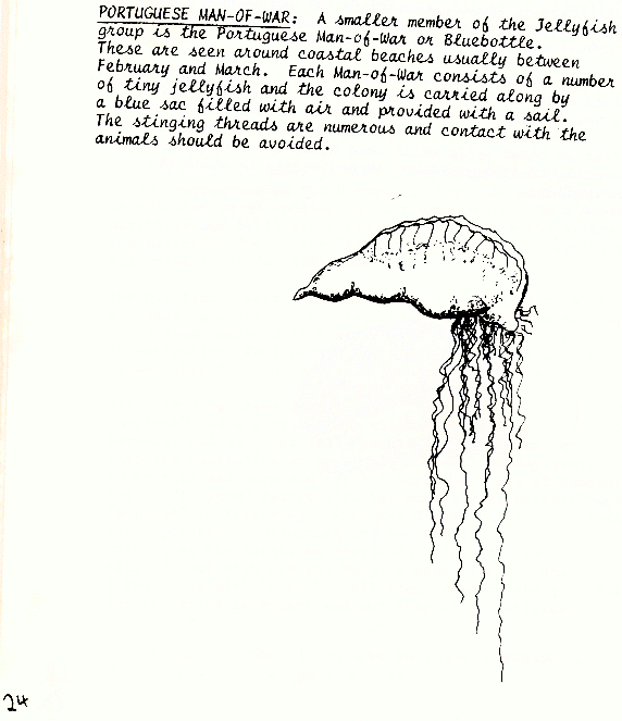 page scan