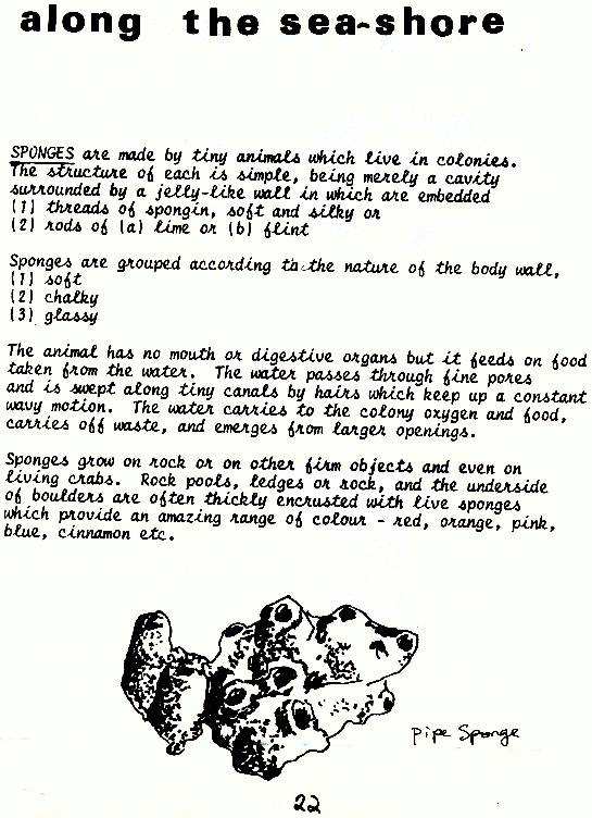 page scan