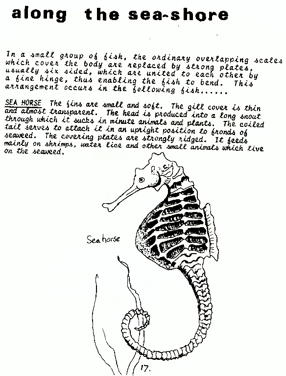 page scan
