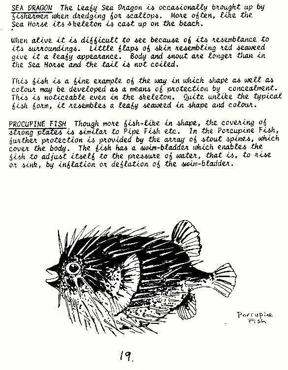 page scan