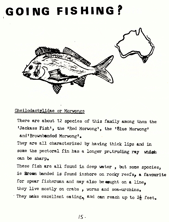 page scan