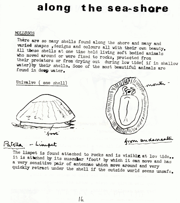 page scan