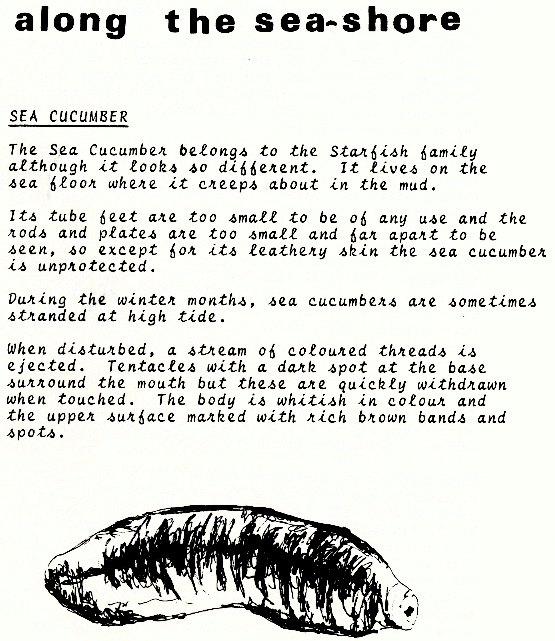 page scan