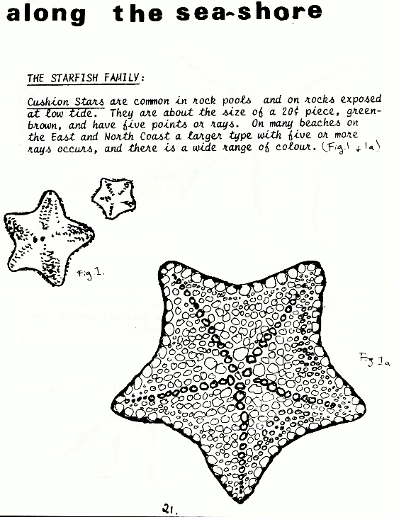 page scan