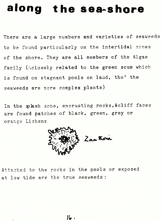 page scan