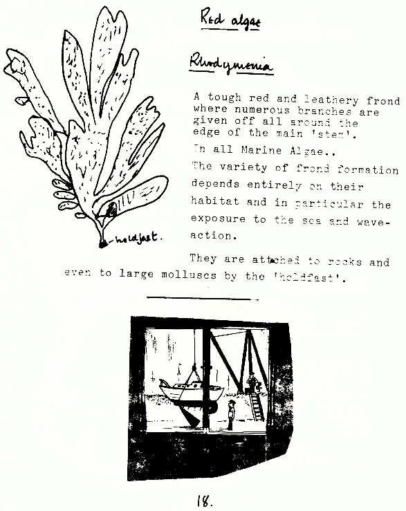 page scan