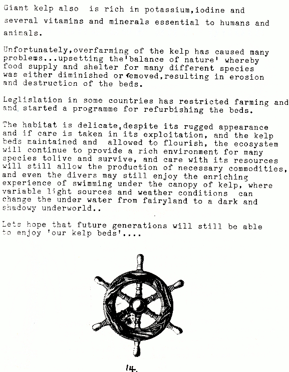 page scan
