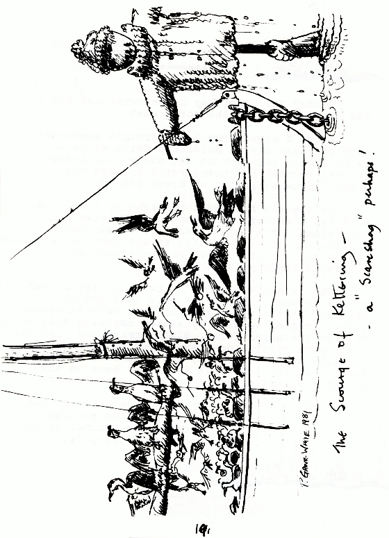page scan