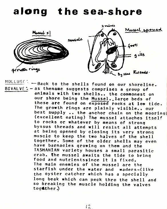 page scan