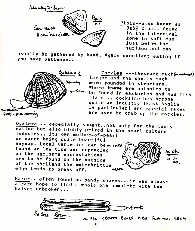 page scan