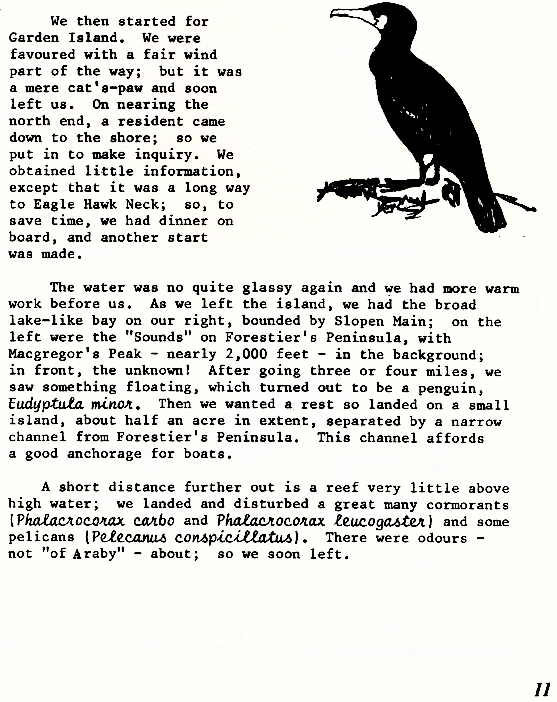 page scan