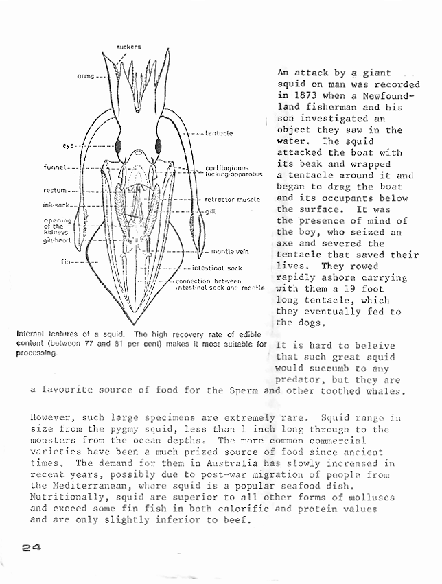 page scan