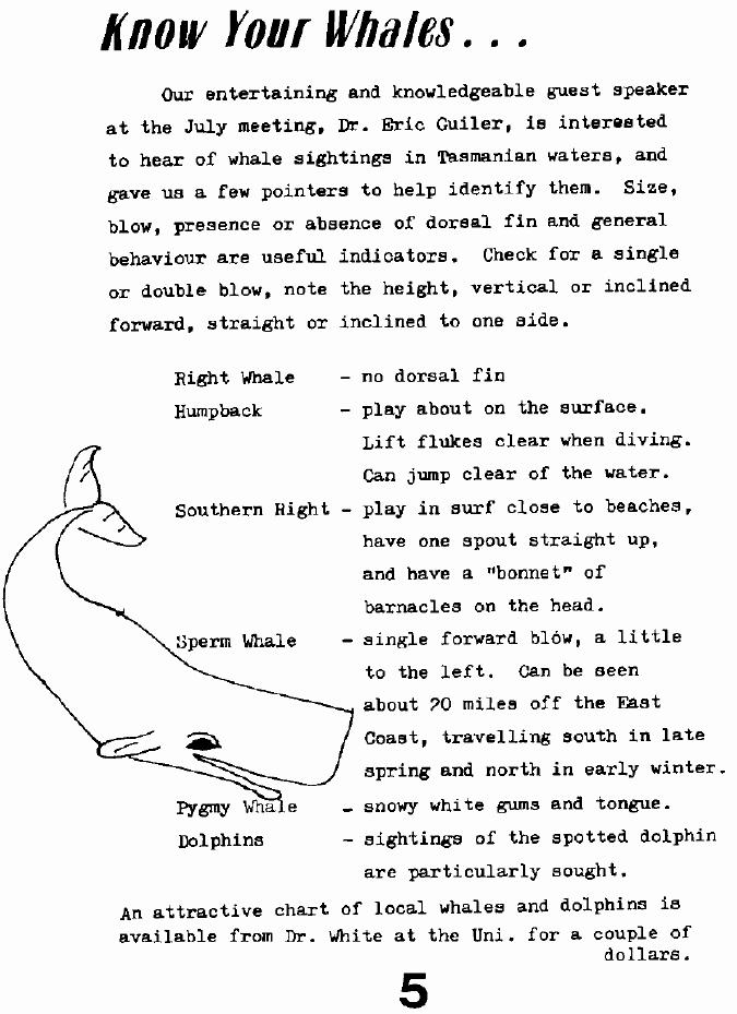 page scan