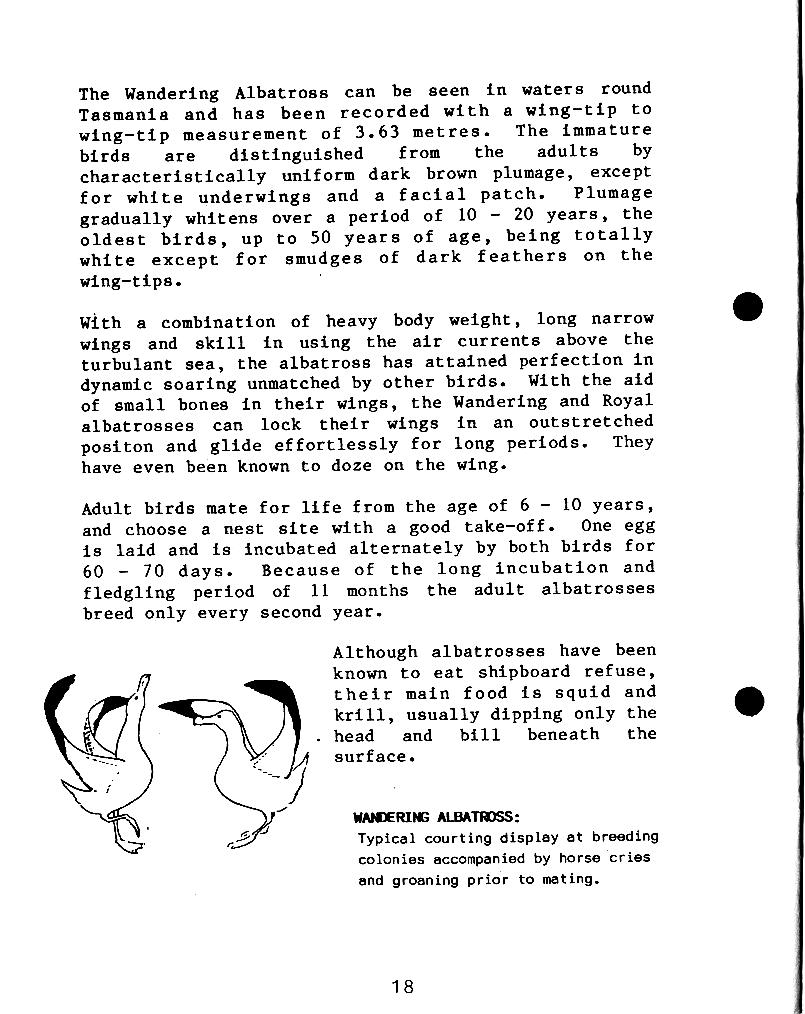 page scan