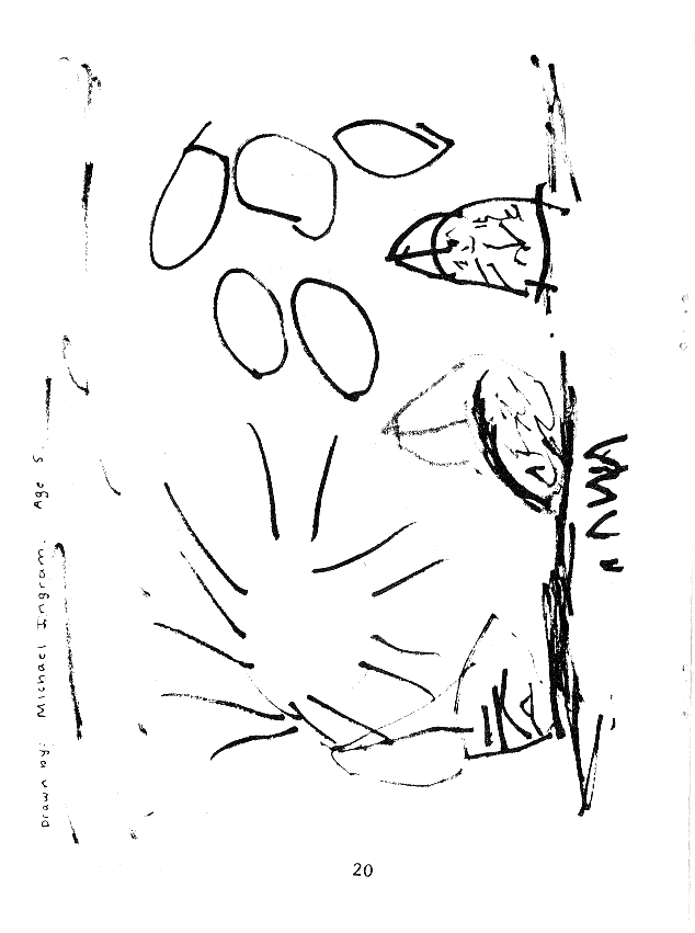 page scan