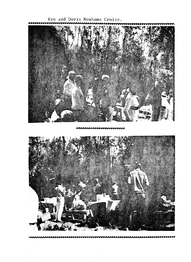 page scan