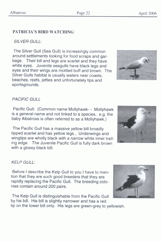 page scan